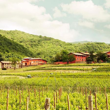 Agriturismo L'Uva E Le Stelle Faedis Dış mekan fotoğraf