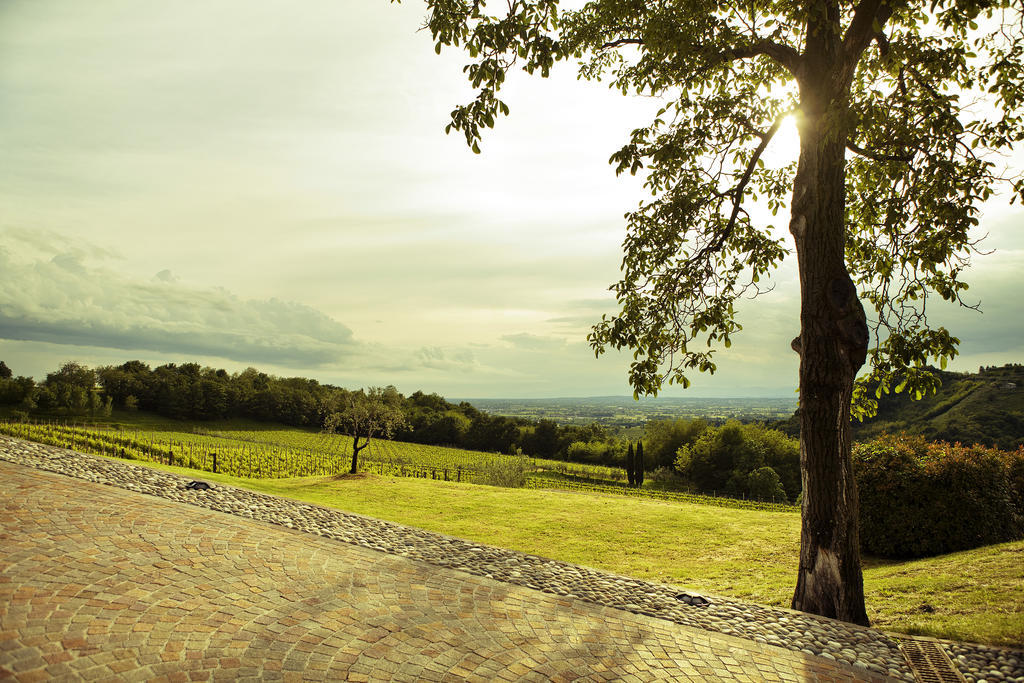 Agriturismo L'Uva E Le Stelle Faedis Dış mekan fotoğraf