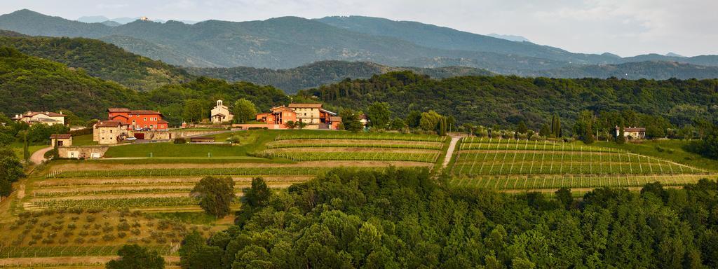 Agriturismo L'Uva E Le Stelle Faedis Dış mekan fotoğraf