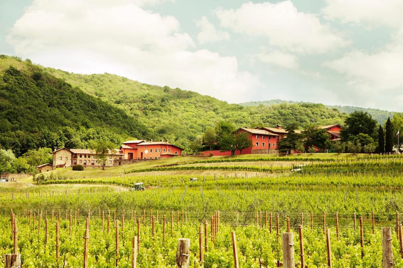 Agriturismo L'Uva E Le Stelle Faedis Dış mekan fotoğraf