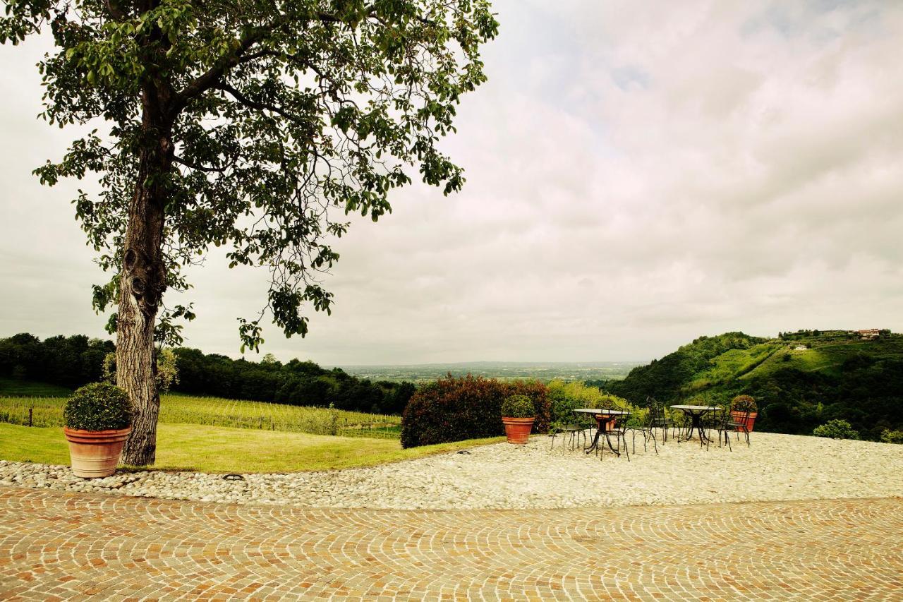 Agriturismo L'Uva E Le Stelle Faedis Dış mekan fotoğraf