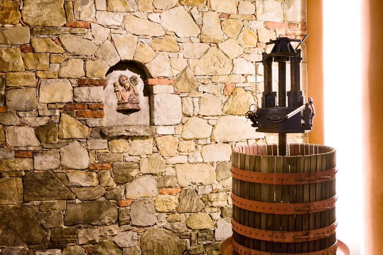 Agriturismo L'Uva E Le Stelle Faedis Dış mekan fotoğraf